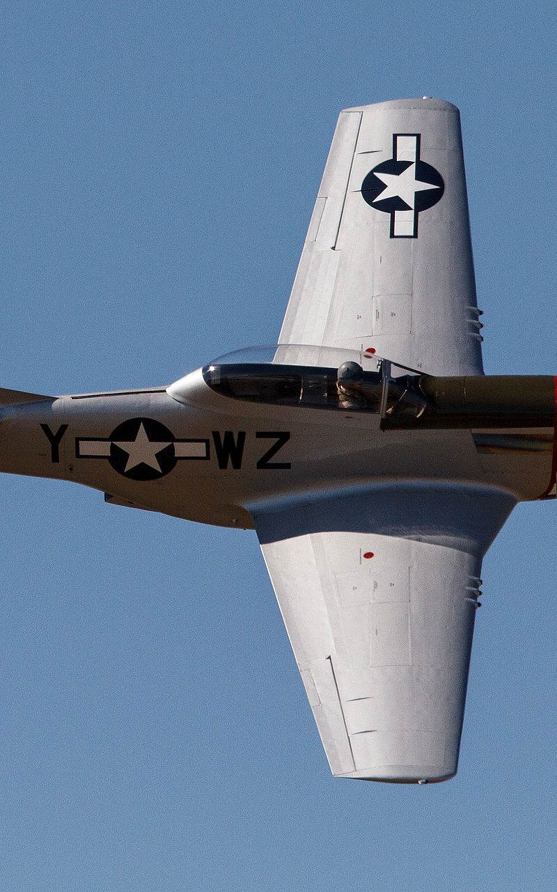  - Warbird