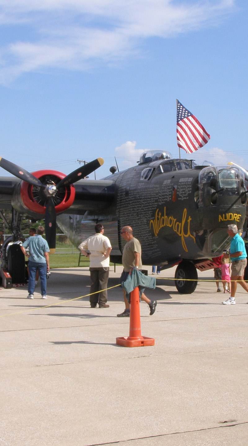  - Warbird