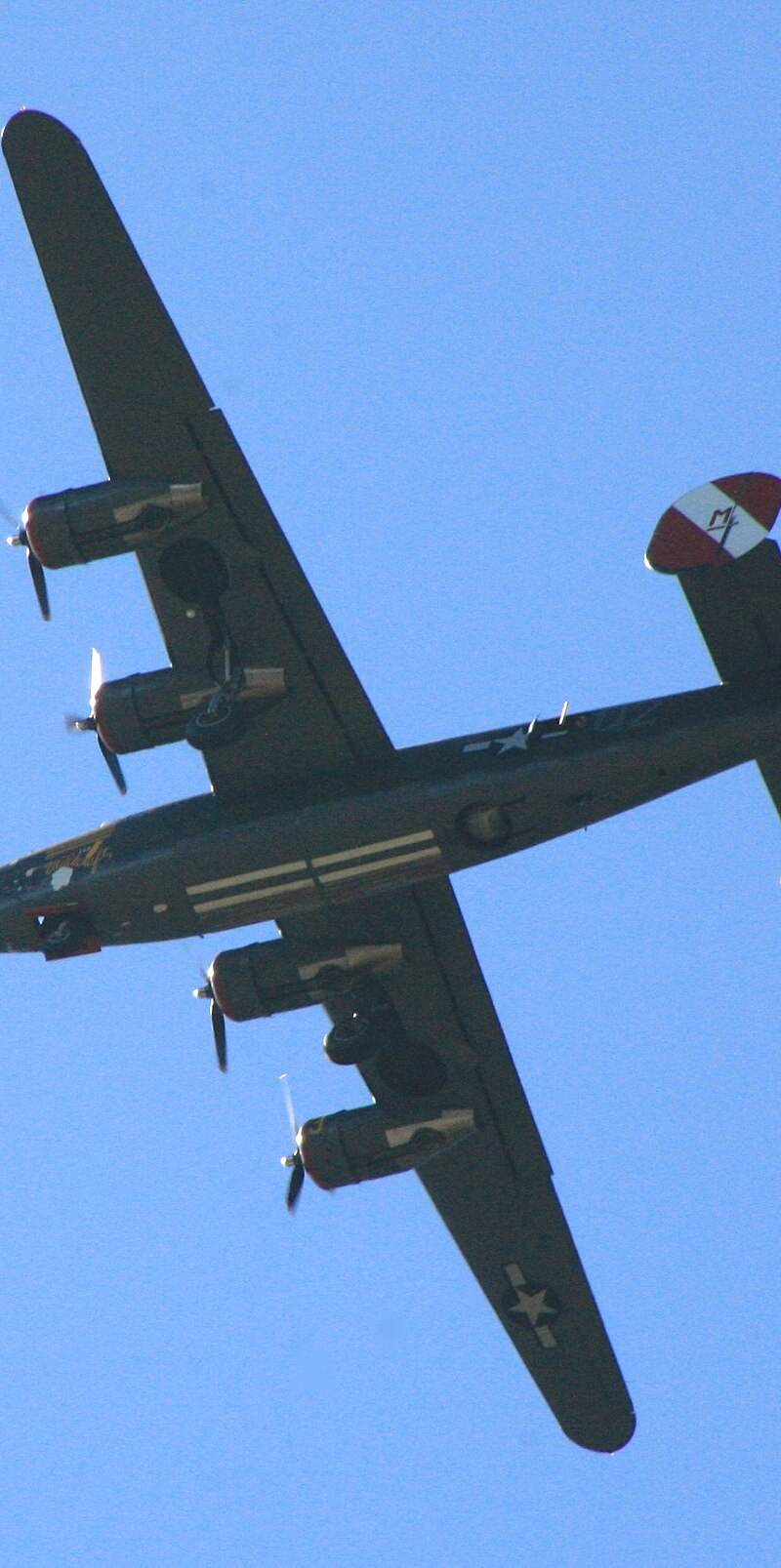  - Warbird