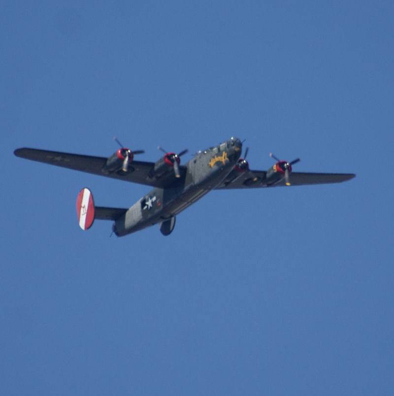  - Warbird