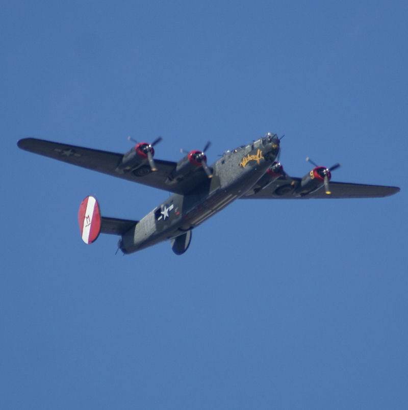  - Warbird