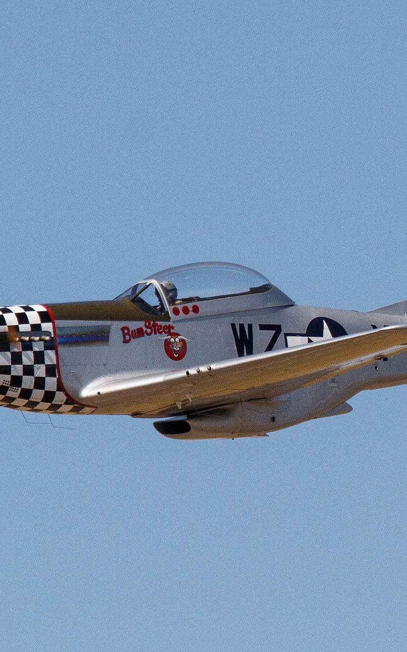  - Warbird