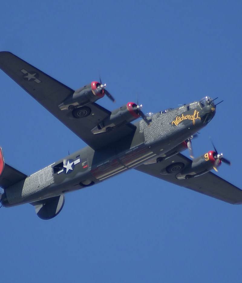  - Warbird
