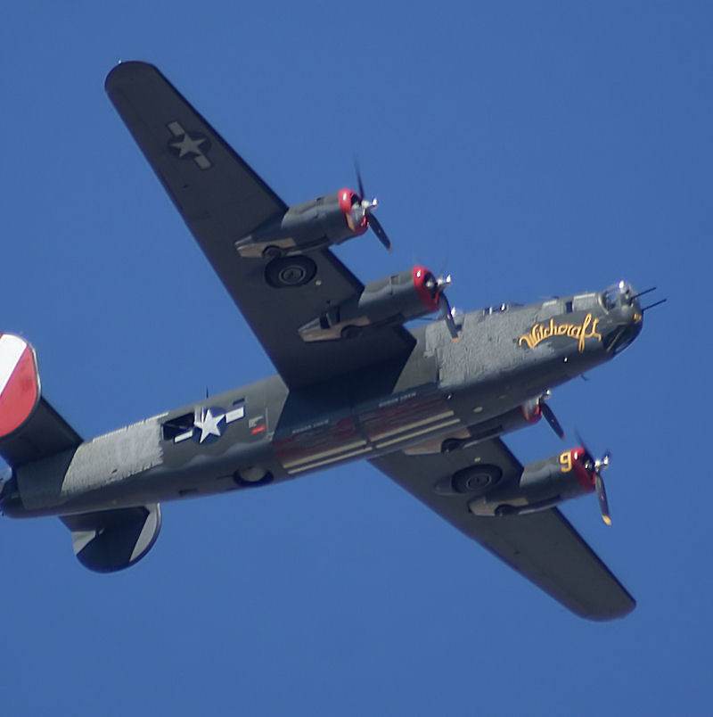  - Warbird
