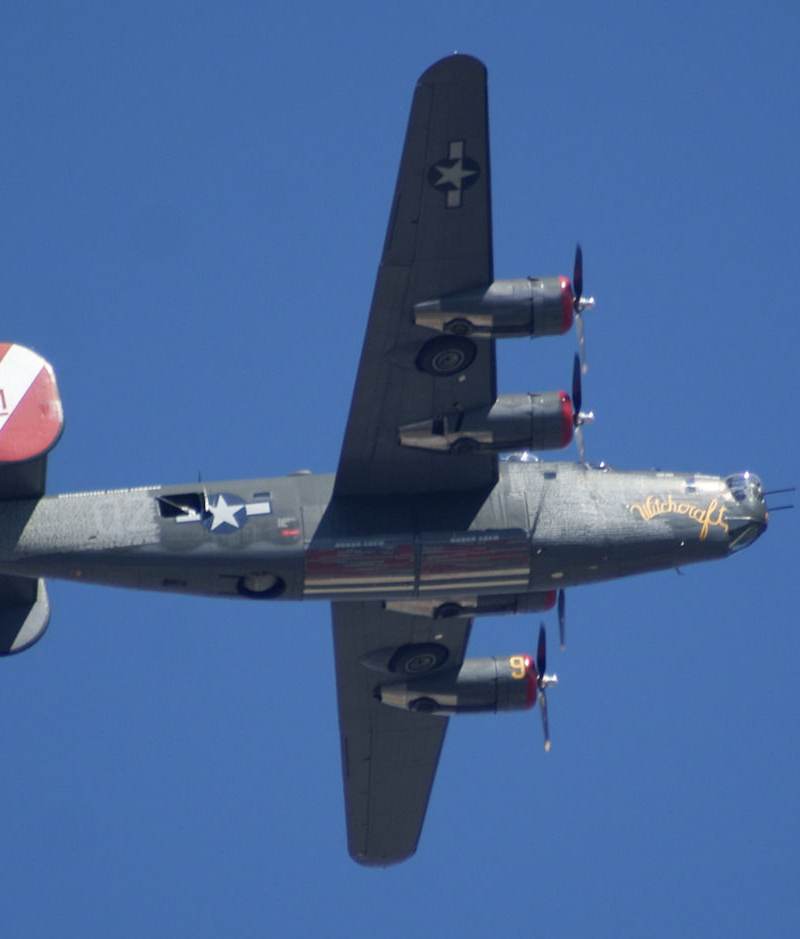  - Warbird