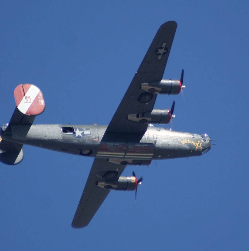  - Warbird
