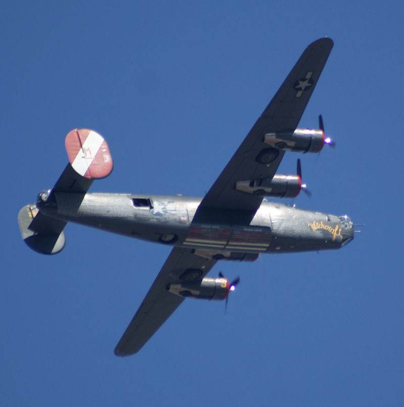  - Warbird