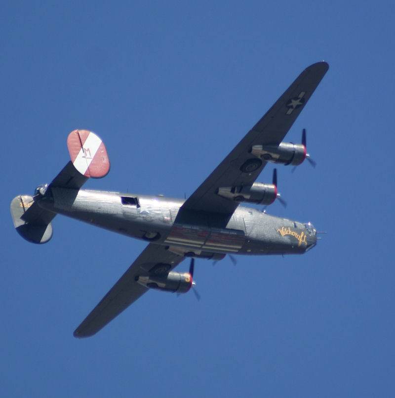  - Warbird