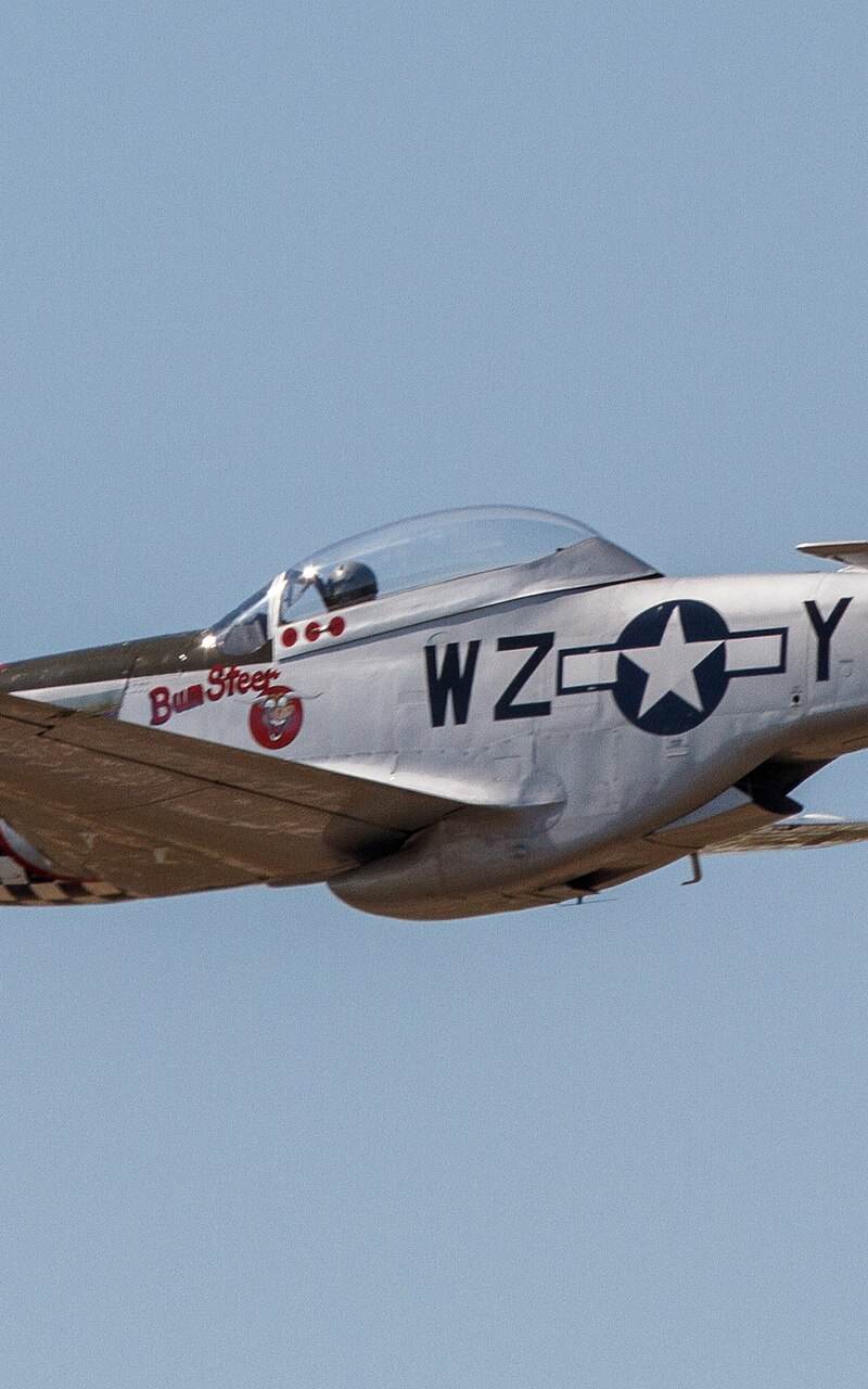  - Warbird