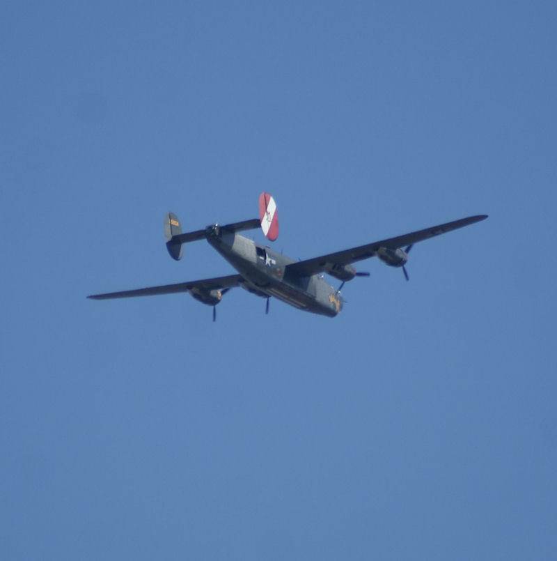  - Warbird