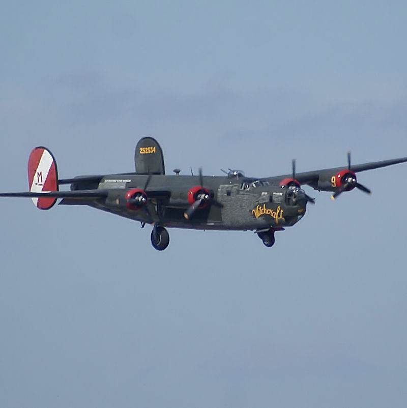  - Warbird