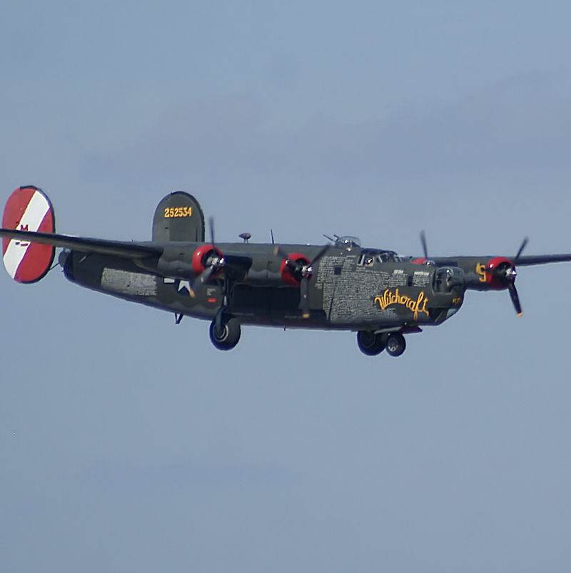  - Warbird