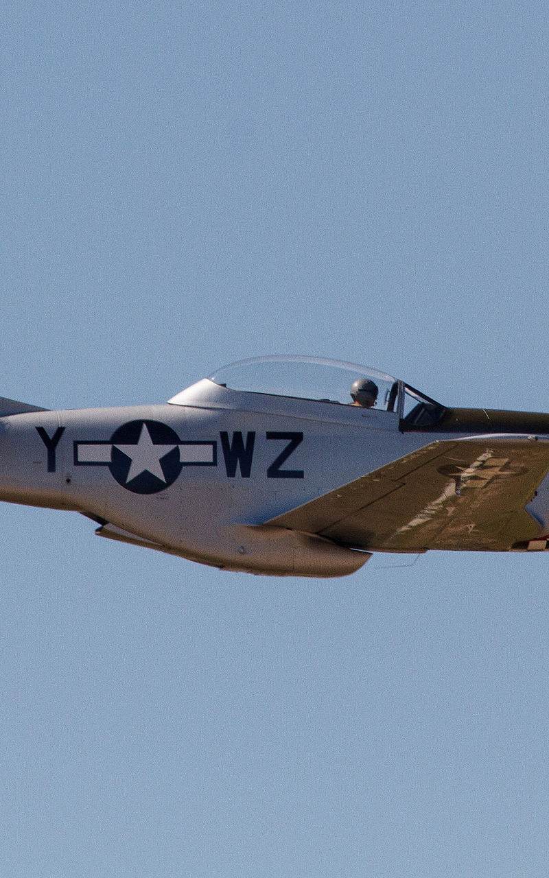  - Warbird