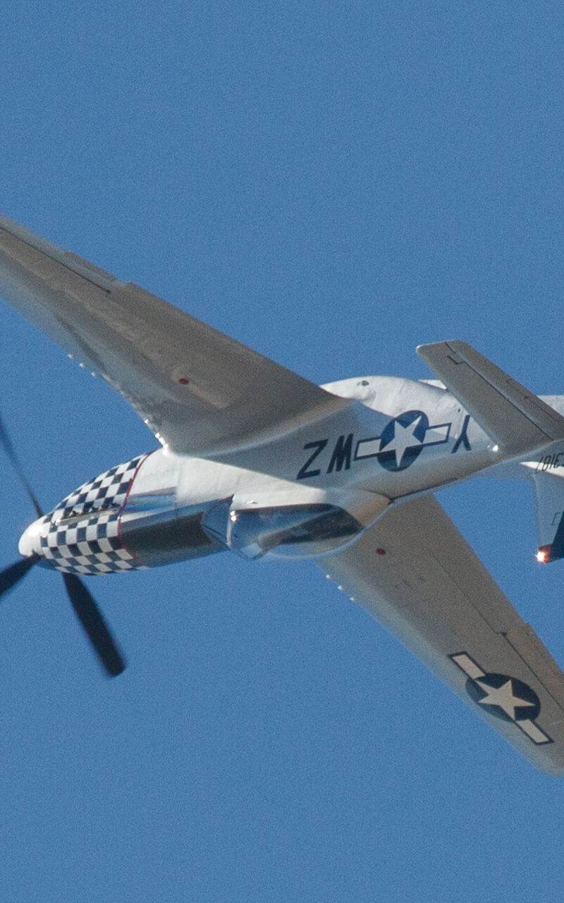  - Warbird