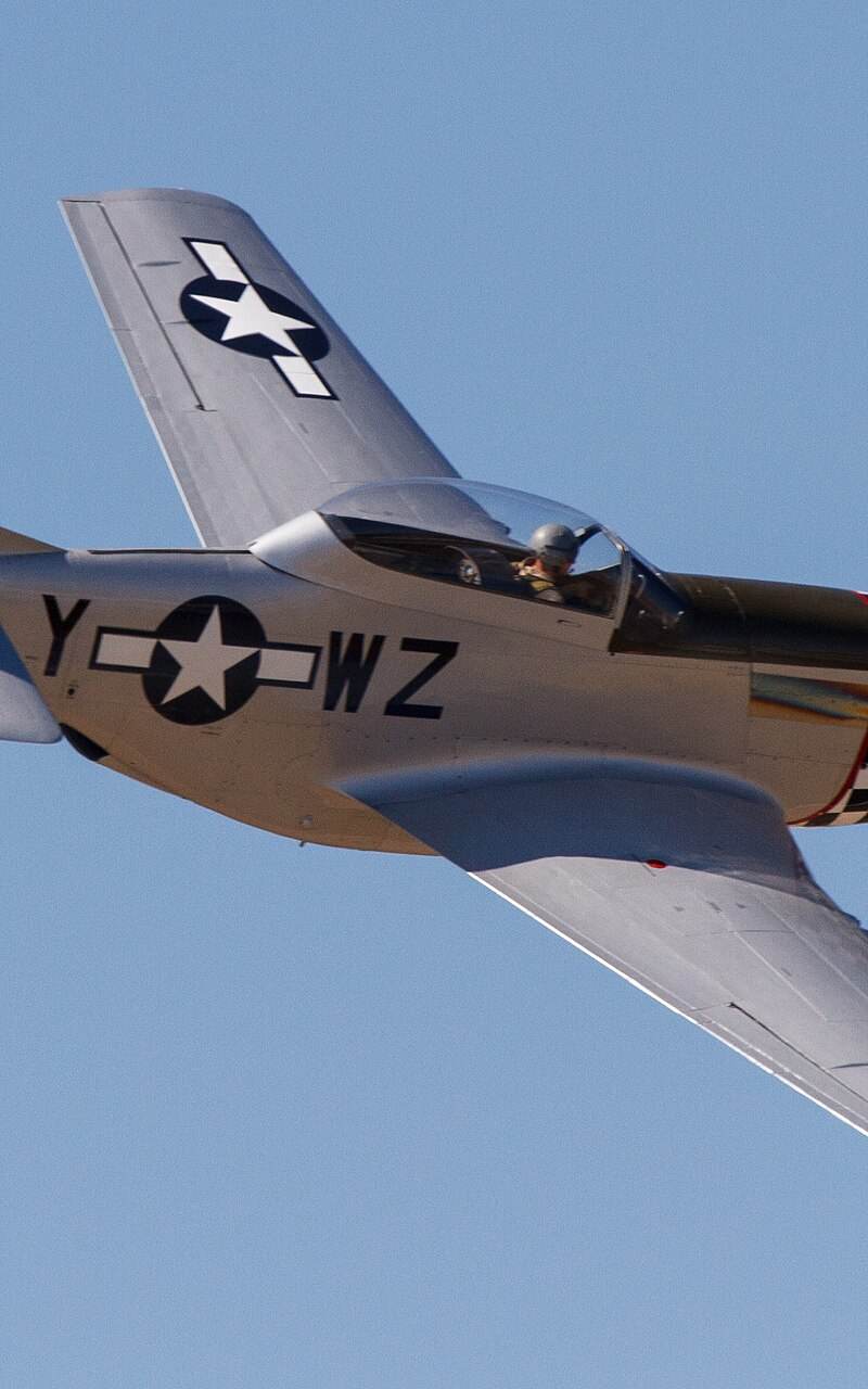  - Warbird