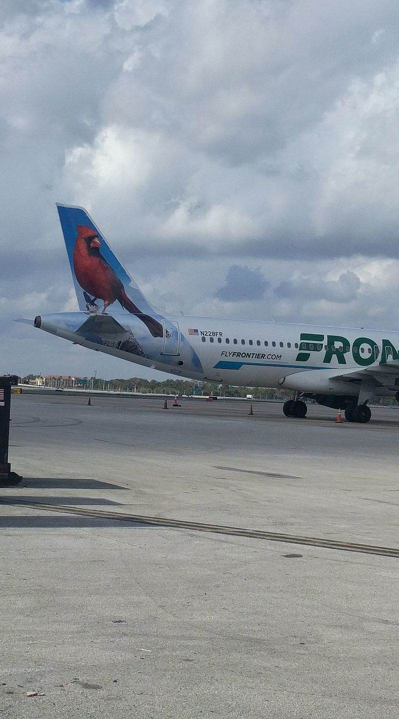 N228FR - Airbus