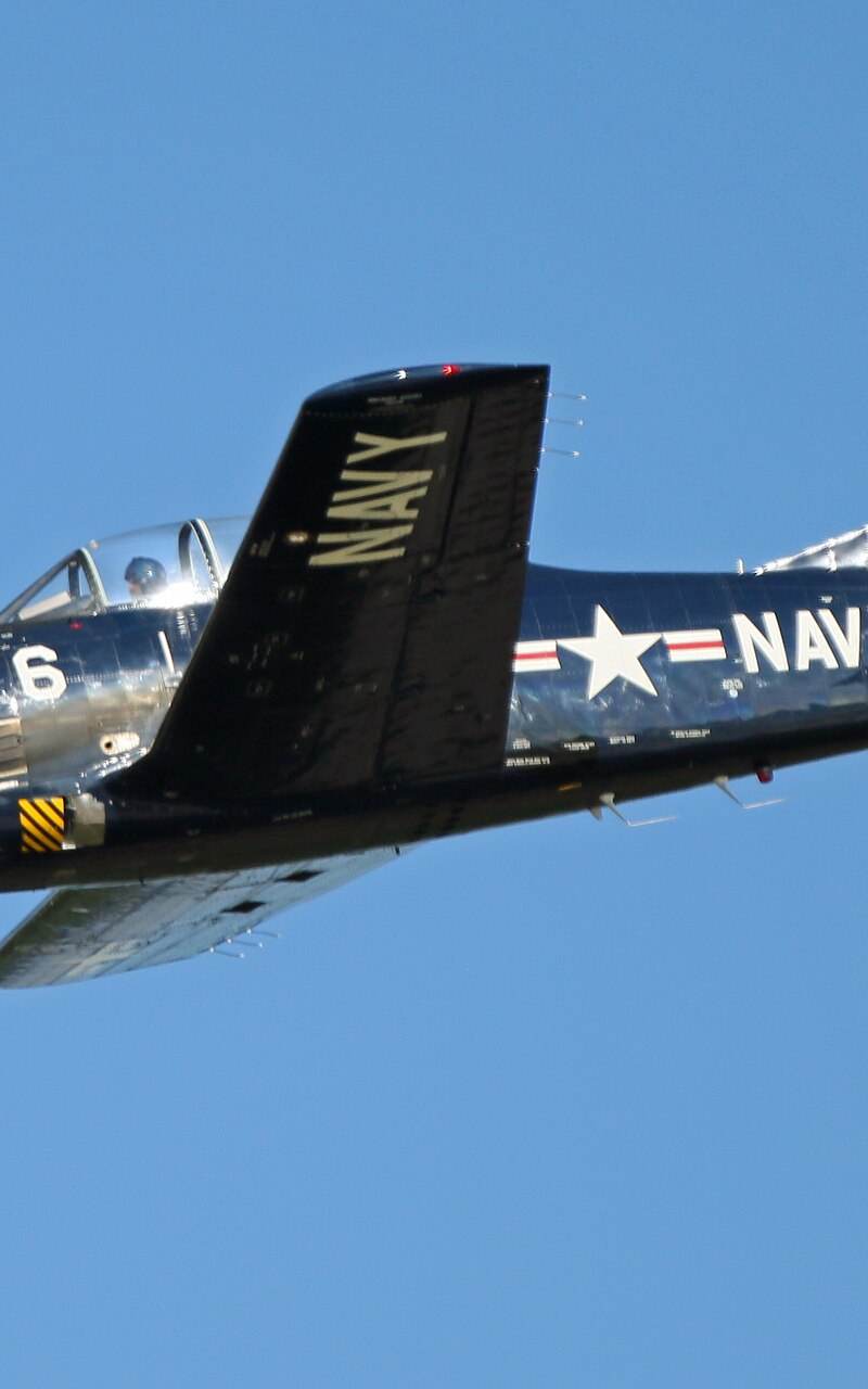  - Warbird