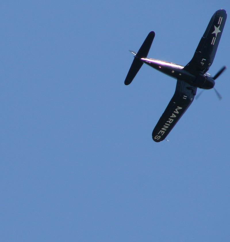  - Warbird