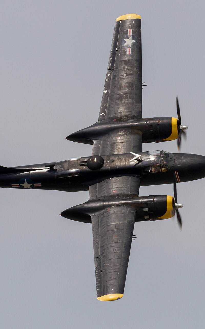  - Warbird