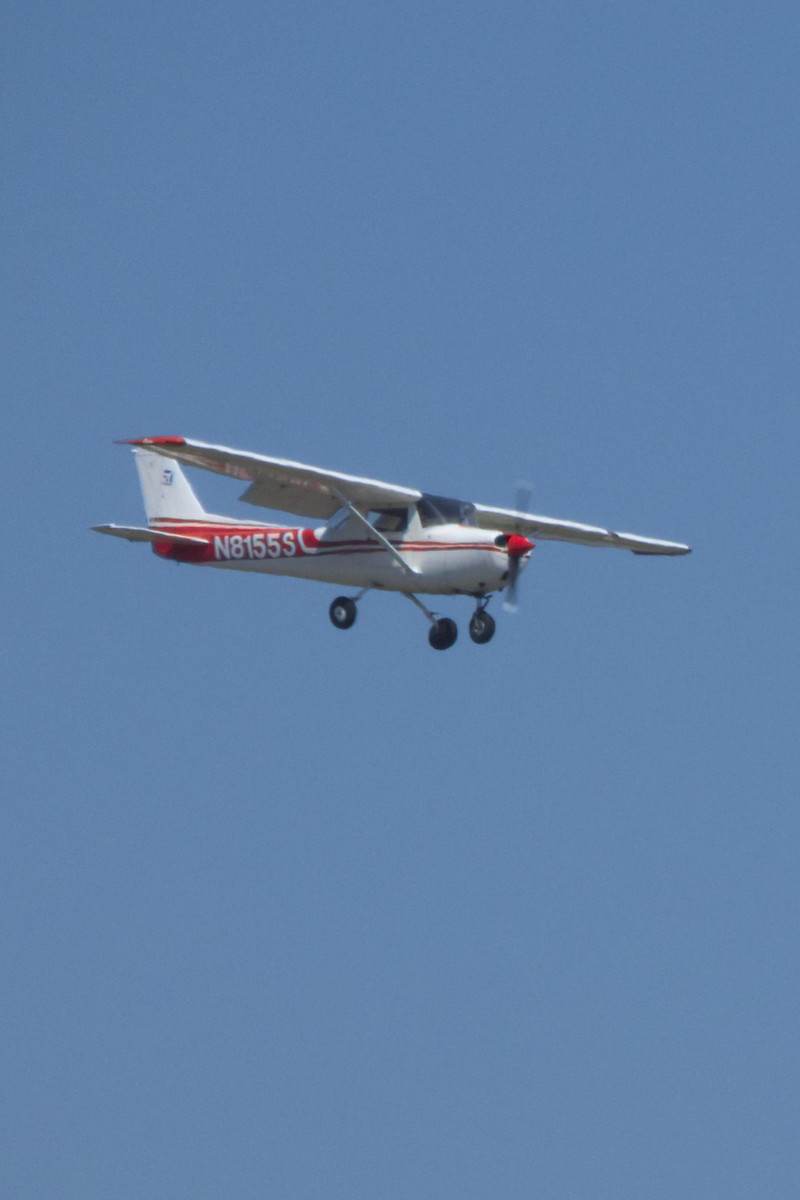 N8155S - Cessna