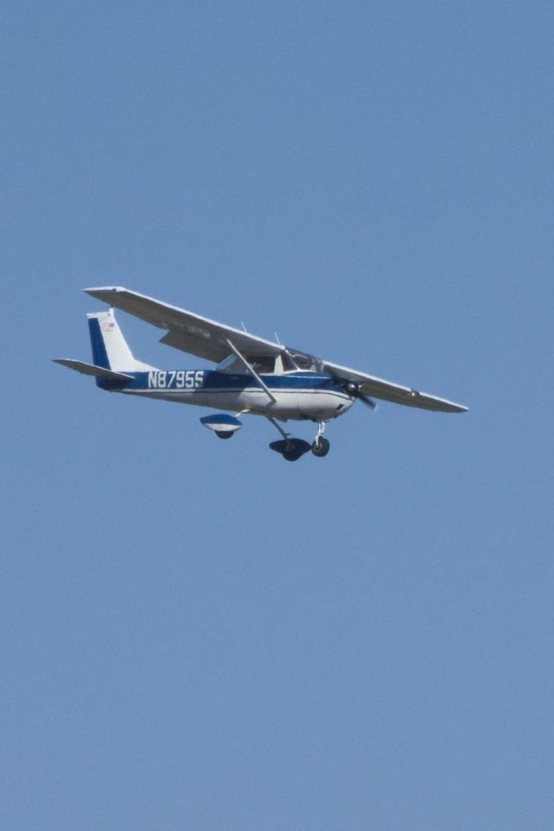 N8795S - Cessna