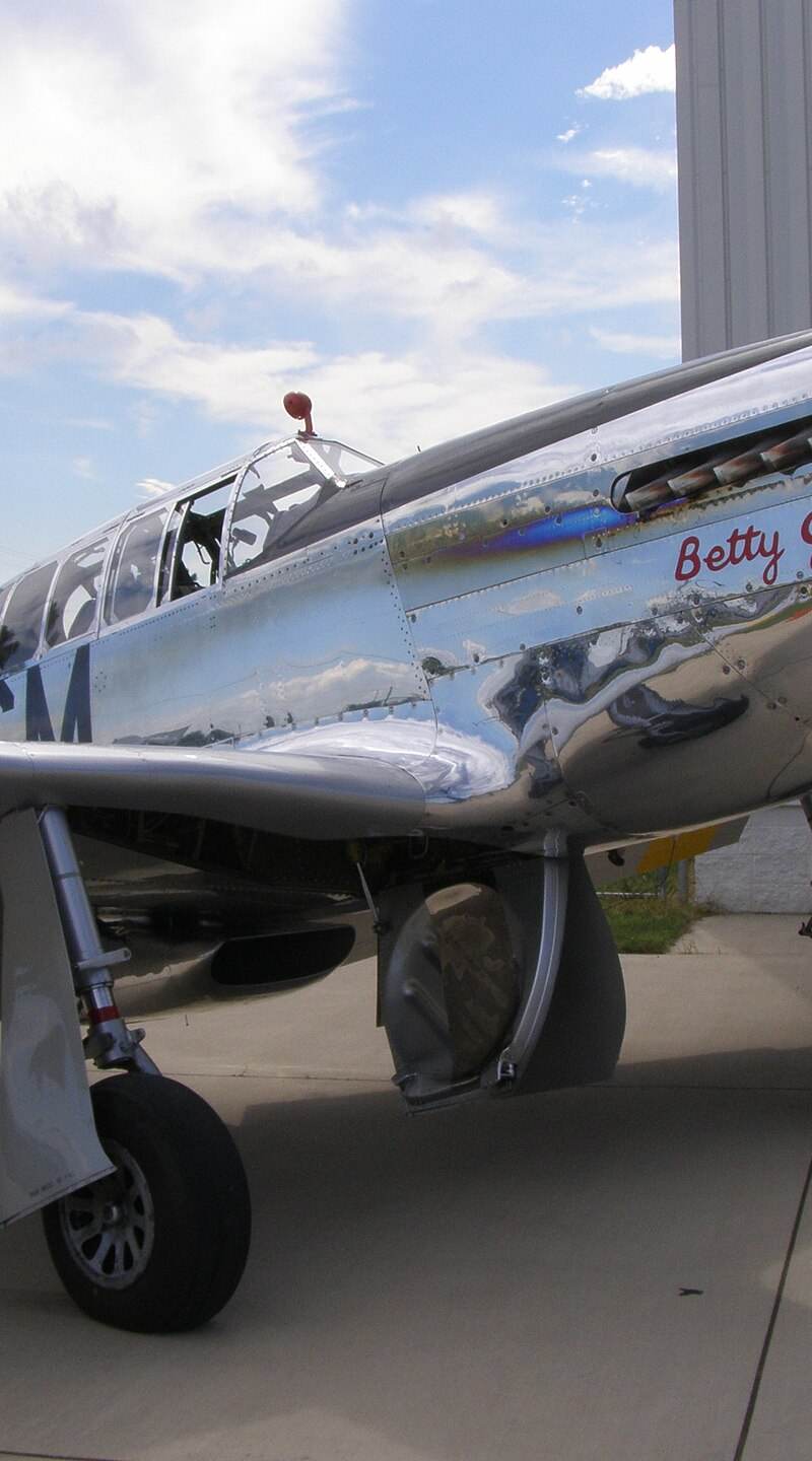 N251MX - Warbird