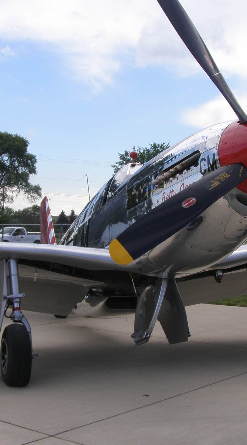 N251MX - Warbird