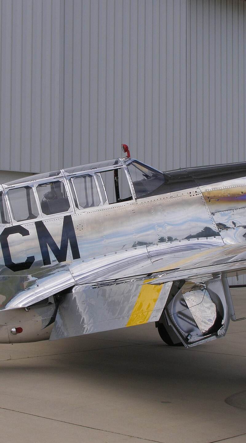 N251MX - Warbird