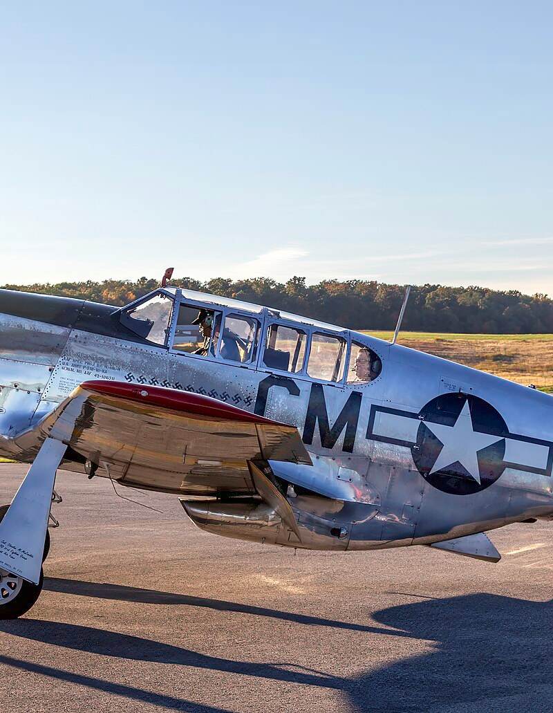N251MX - Warbird