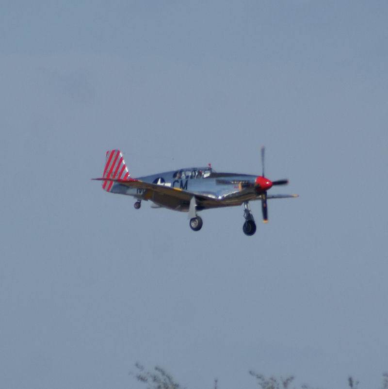 N251MX - Warbird