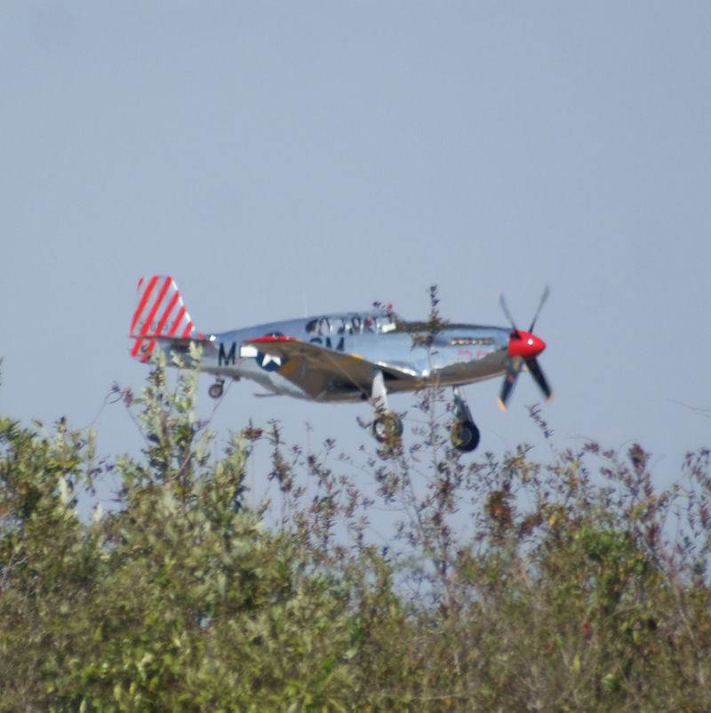 N251MX - Warbird