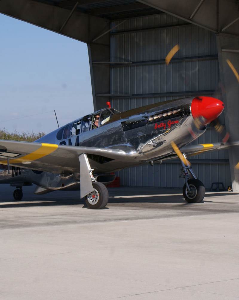 N251MX - Warbird