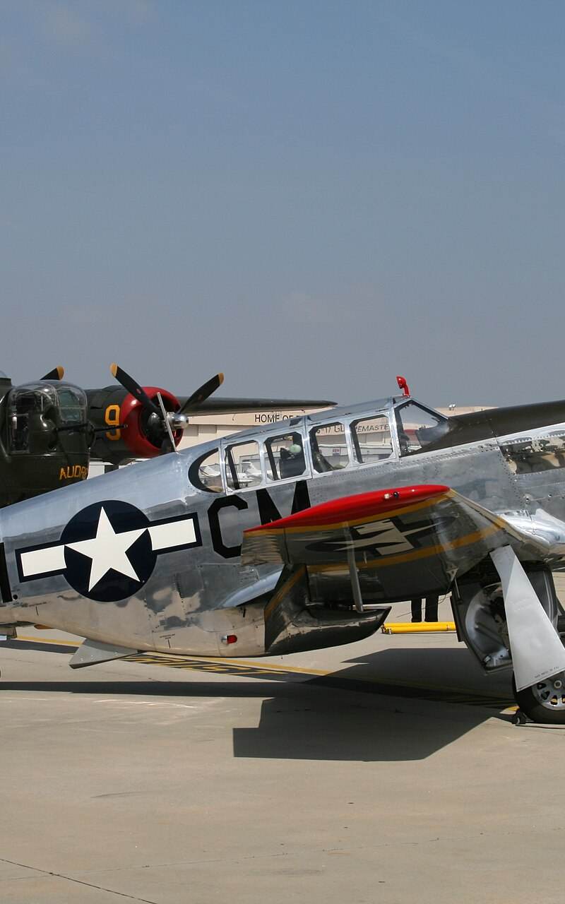N251MX - Warbird