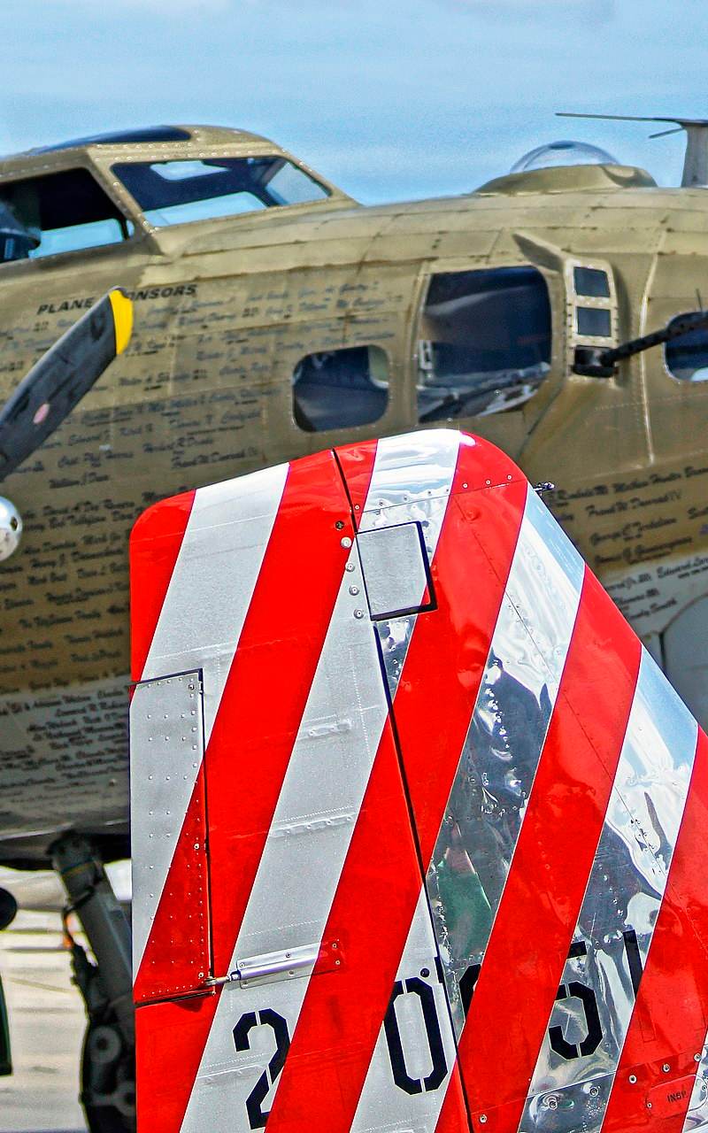 N251MX - Warbird