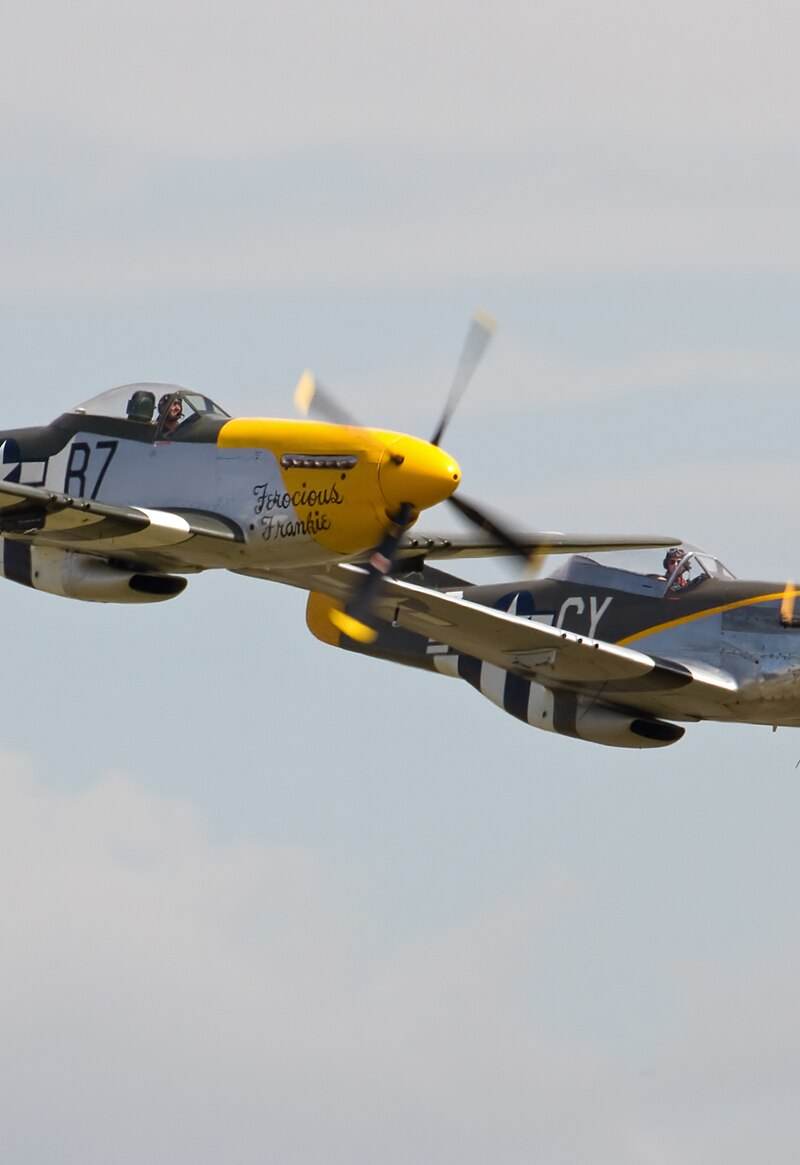 N251RJ - Warbird