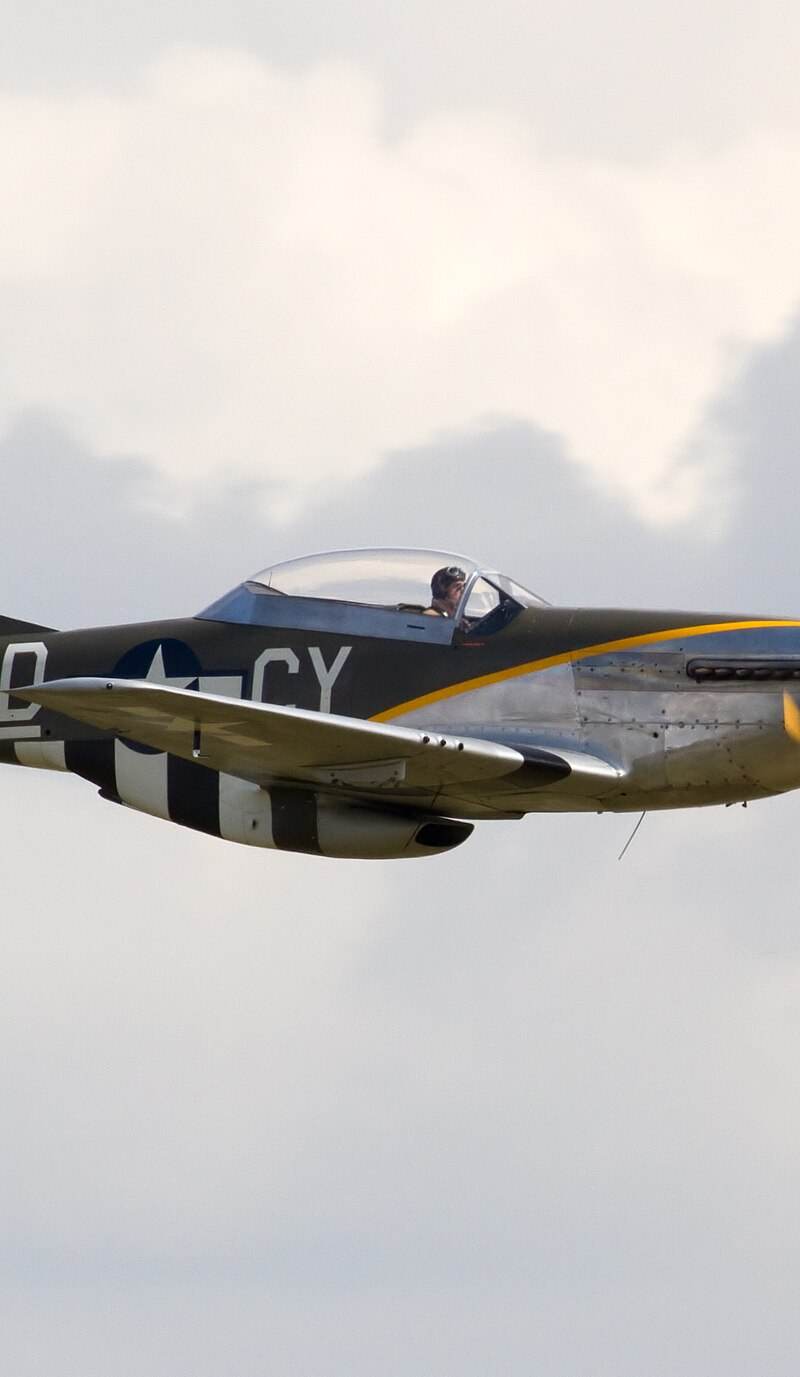 N251RJ - Warbird