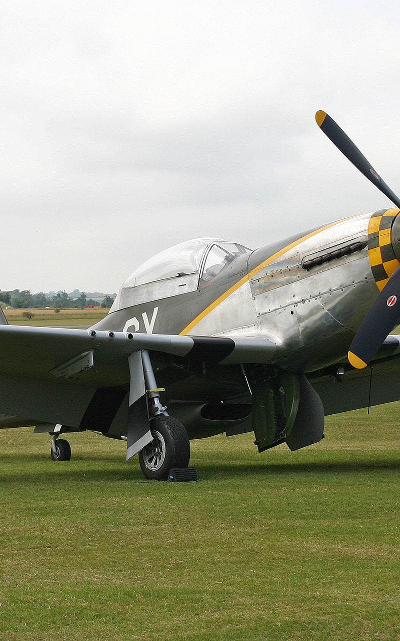 N251RJ - Warbird
