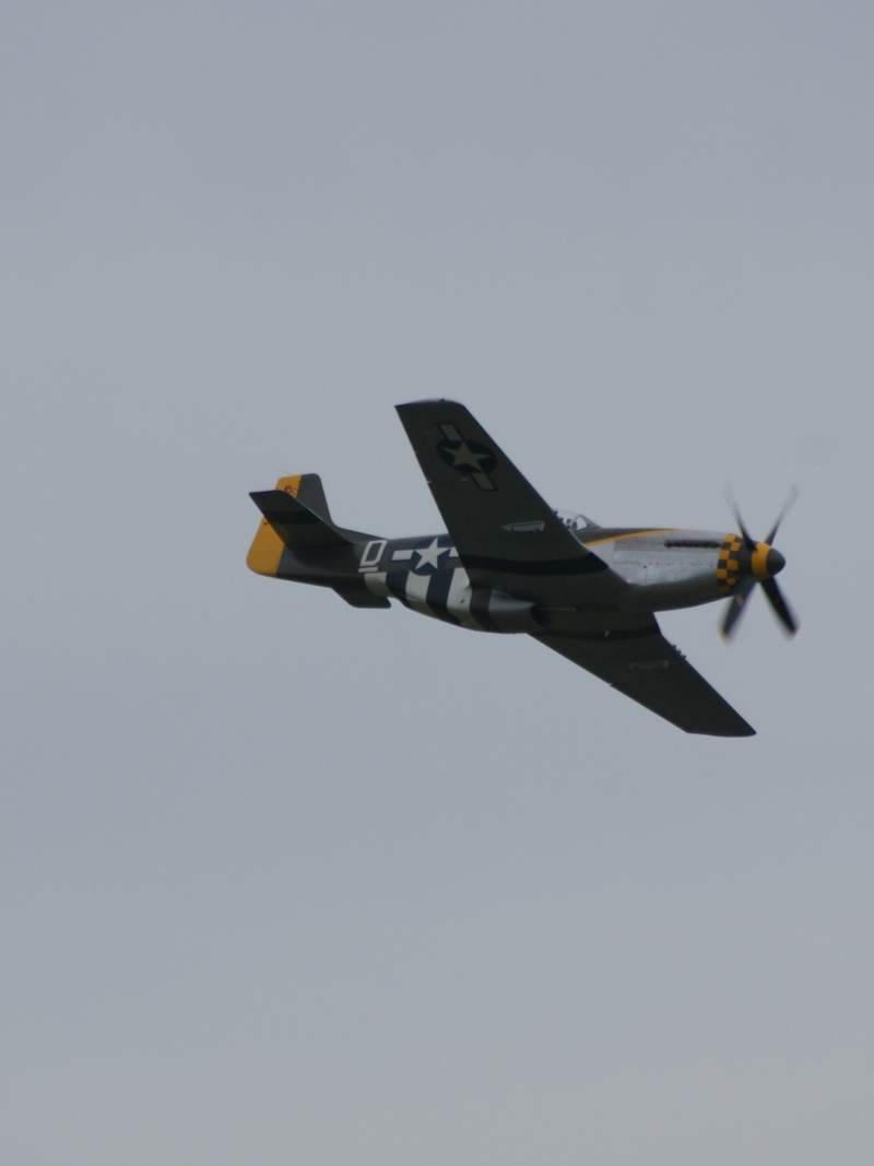 N251RJ - Warbird