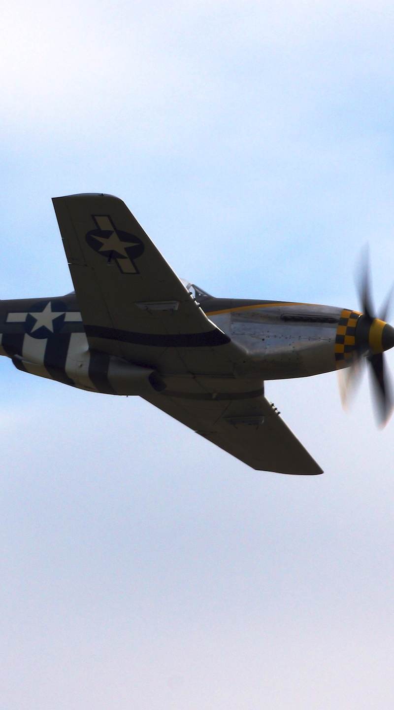 N251RJ - Warbird