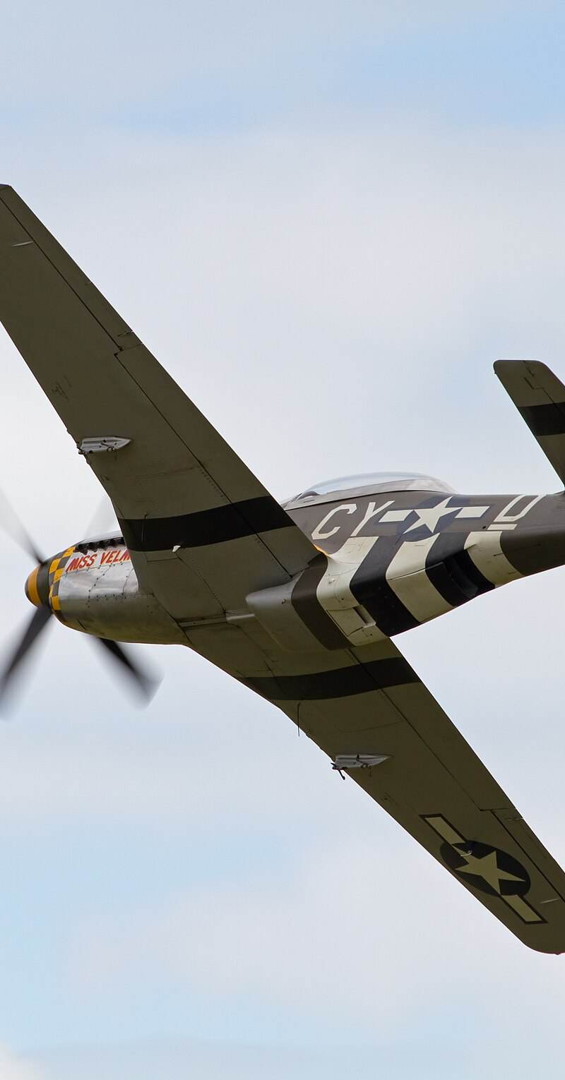 N251RJ - Warbird