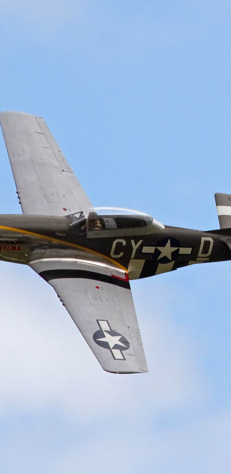 N251RJ - Warbird
