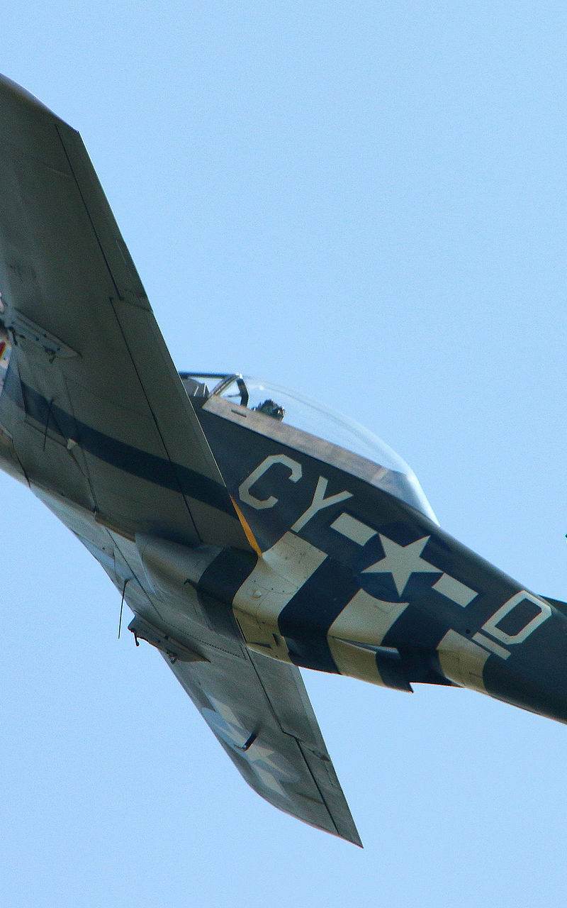N251RJ - Warbird