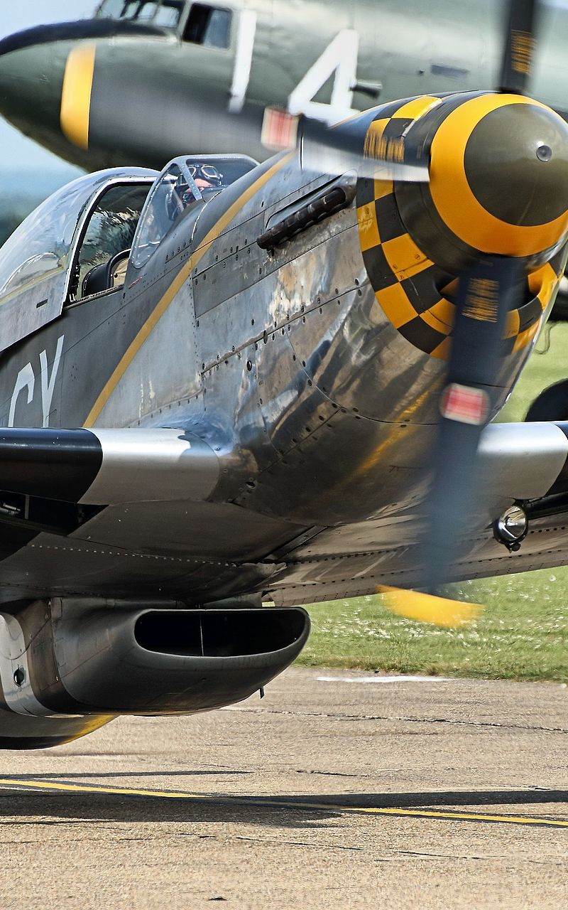 N251RJ - Warbird