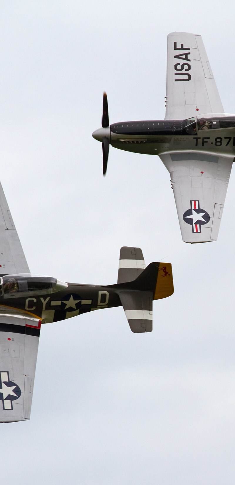 N251RJ - Warbird