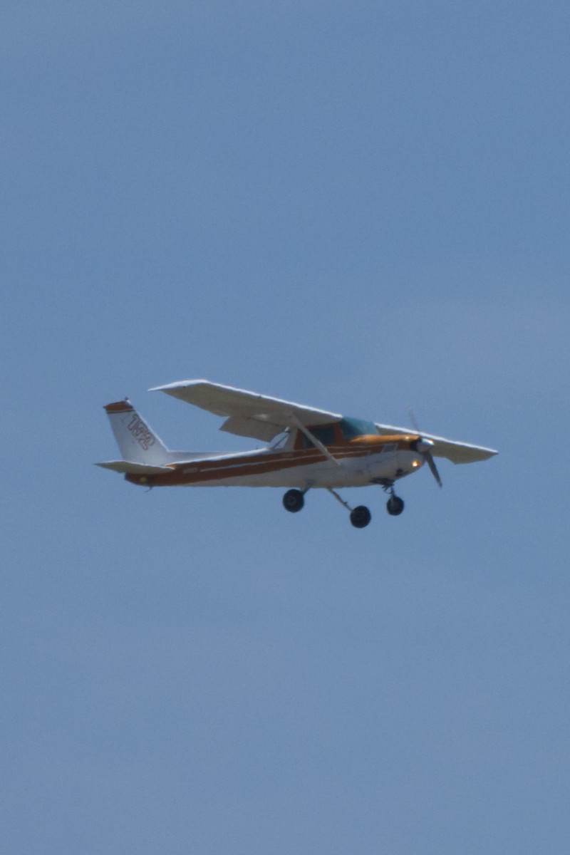 N49931 - Single-engine aircraft