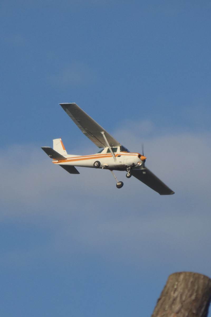 N48762 - Cessna