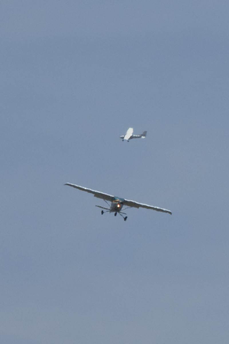 N49931 - Single-engine aircraft