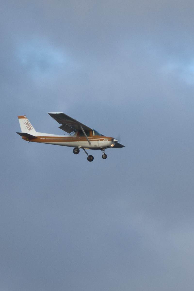 N49931 - Single-engine aircraft