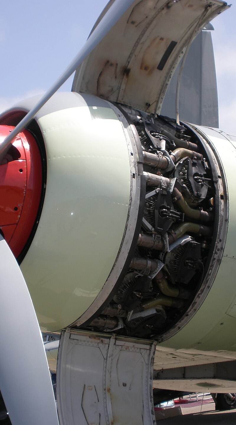  - Warbird