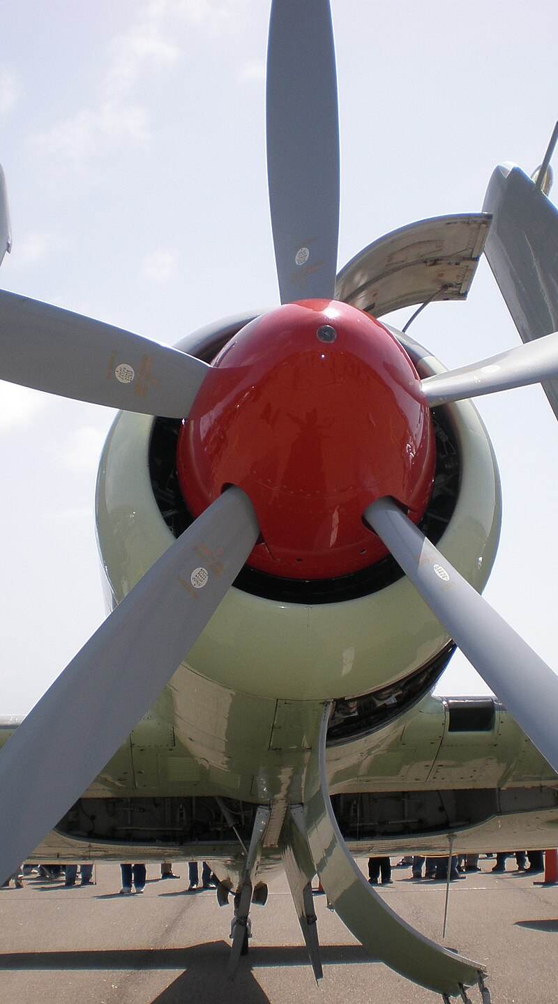  - Warbird